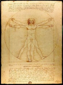 Da VInci proporcije