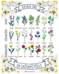 Biljke za ocuvanje pcela