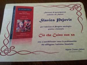 12075031_1188583497822138_214706510354865326_n