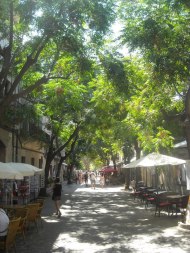 304554_434105893294542_217595681_n