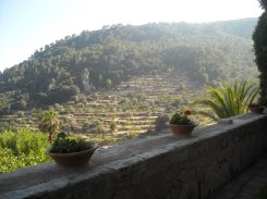 580068_434107543294377_1588502534_n