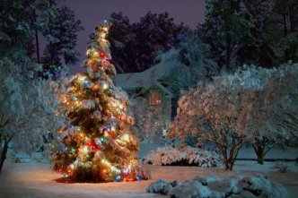 zasto_kitimo_jelku_894375545