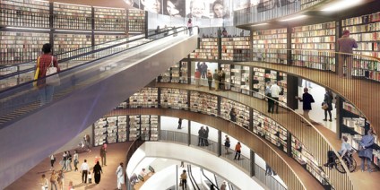 biblioteka_birnimgen_satelit