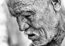 shutterstock_225072244