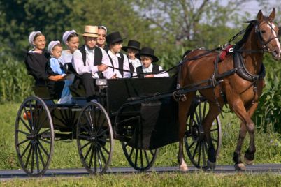 amish-family