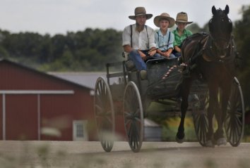 amisi-foto-profimedia-1459777620-879181