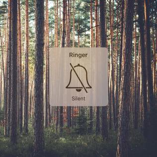 15230729_843729319064136_6296272830051925540_n