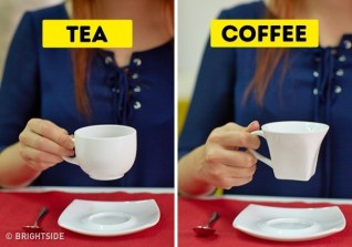 15693310-7364910-390305-0-1503320625-1503320632-0-1503584544-0-1503640205-1503640208-650-1-1503640208-650-6f9081b3ae-1503694340