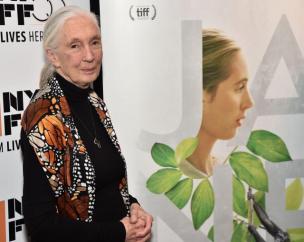 3329758885a0ab39587160663395422_v4_big