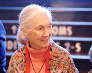 7551036205a0ab39569c54006515917_v4_big