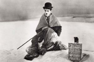 35390_carli-caplin_ls