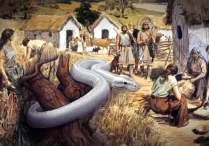 105013234_268577110863985_26520535221888290_n_2