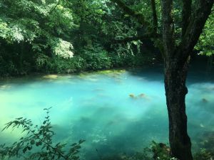 krupajsko-vrelo-foto-telegraf-5-830x0